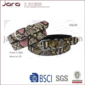 19A248